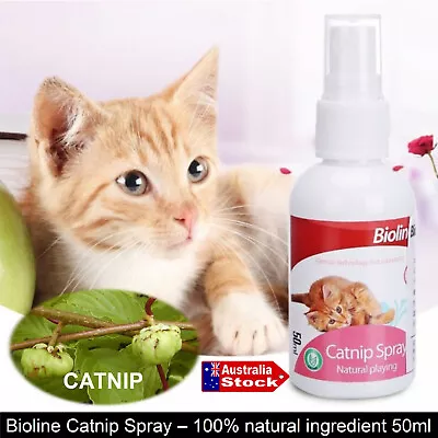 Catnip Essential Oil Spray For Cats Natural Feline Attractant • $16.50