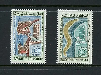 Y395  Morocco  1962  Fish Marine   2v.   MNH • $2.15