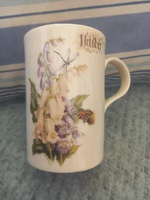 £5 • Buy Past Times Bone China Mug. October