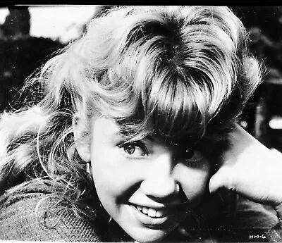 KC63-117 HAYLEY MILLS Vintage 8x 10  Photo + Negtv FAMOUS BRITISH CHILD ACTRESS • $12