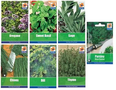 £6.95 • Buy 7 Packs Garden Herb Collection Seeds Oregano Basil Chive Sage Parsley Thyme Dill