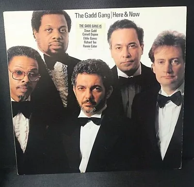 The Gadd Gang Here & Now FC 44327 Record Promo • $3.99