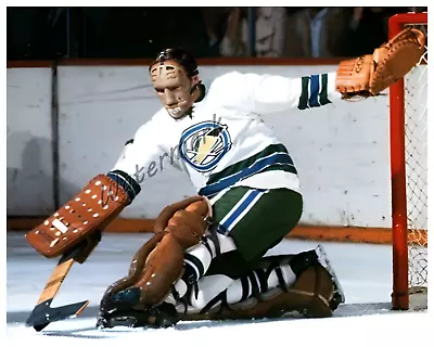 NHL Oakland Seals Goalie Charlie Hodge Game Action Color 8 X 10 Photo Picture • $5.99