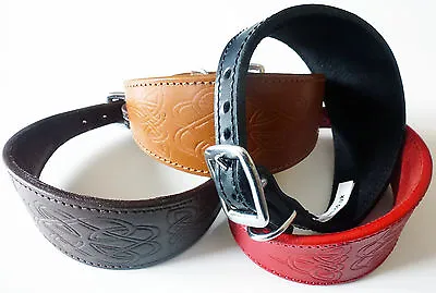 CELTIC Embossed Leather Whippet Greyhound Collar Saluki Deerhound Dog Collar  • £16.85