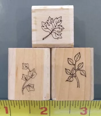 LEAVES SET OF 3 STAMPS Wood/Rubber Maple Ivy Stem Branch W/ Leaf Trees Shrubs • $10