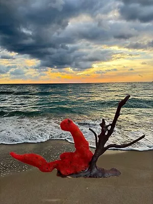 Dragon Sitting On A Tree Natural Sea Coral Soft Coral Nautical Home Decor • $59.98