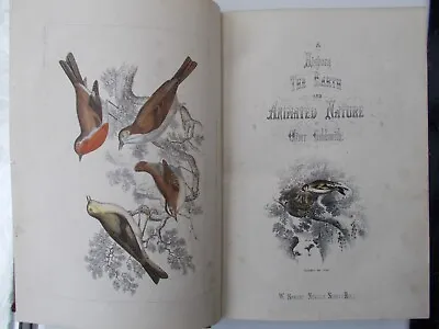 £50 • Buy History Of The Earth & Animated Nature By Oliver Goldsmith  Published  1854