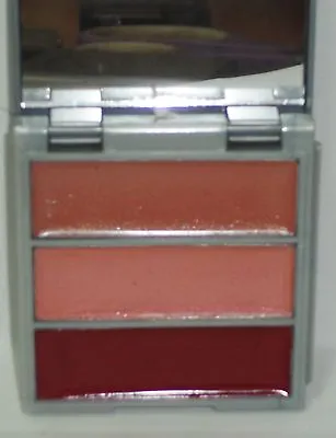 MARIO DE LIUIGI Make Up Your Makeup Trio LIP Gloss In Mirrored Compact Pinks • $9.99