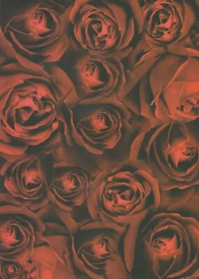 A4 Colour Designs Vellum Paper Red Roses Rose Design  - CVP1 • £1.95