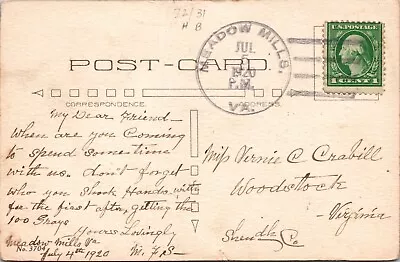 1920 DPO - Meadow Mills VA - Postcard - F58346 • $4.99