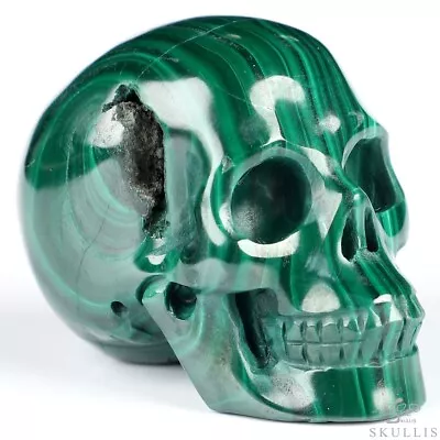 Free Shipping Gemstone 2.0  Malachite Hand Carved Crystal Skull Realistic Crys • $36