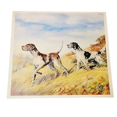 Vtg Setter Pointer Dogs Nature Hunting Outdoors Fall Pond Swexey 3D Art Print • $10.99