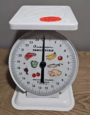 Vintage American Family Scale J8865 25 LBS Farmhouse Kitchen NIB • $32.95