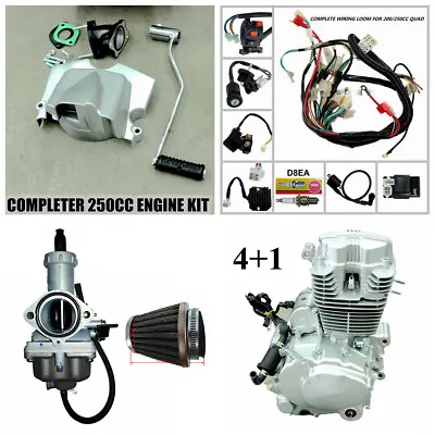 2023 Full 250cc Zongshen Engine PZ30 Carby Air Filter Wiring Harness ATV Quad • $752.14