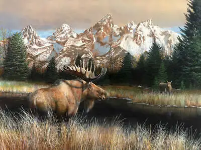 Teton Majesty By Kevin Daniel Art Print Moose Hunting Wildlife Hunt Poster 13x19 • $18.95