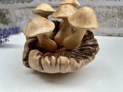 Wooden Mushroom Toadstool Sculpture Teak Root Hand Carved Driftwood Ornament • £16.49