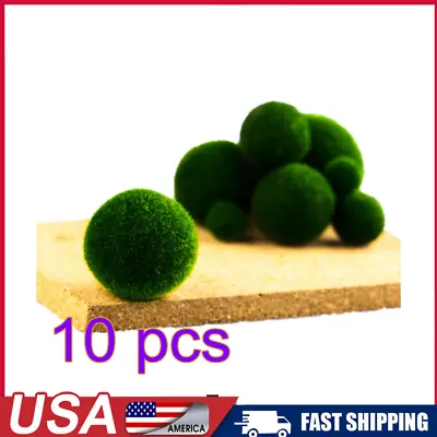 10Pcs Green Marimo Moss Ball Cladophora Live Aquarium Water Plant Decoration 1cm • $10.89