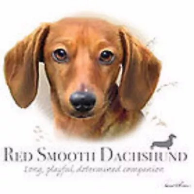 Red Smooth Dachshund Robinson Hood Sweatshirt Pick Size Medium- 5 X Large  • $19.99