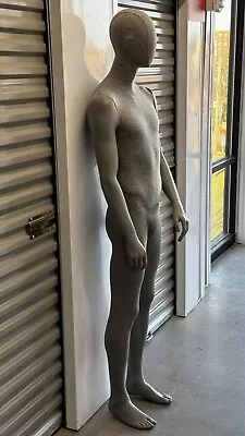 Used Male Mannequin Full Body • $120