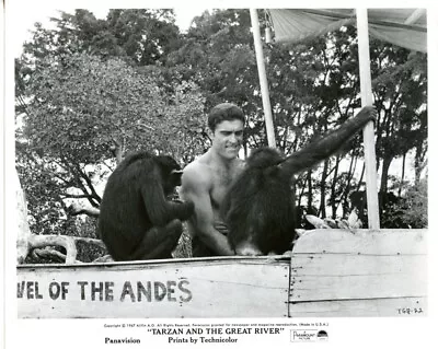 Mike Henry Tarzan And The Great River 8x10 Original Photo #E8223 • $8.99