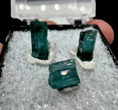 Indicolite Tourmaline Lot: Pulsifer Quarry. Mt Apatite. Auburn  Maine 🇺🇸 • $150