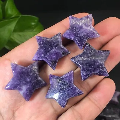 5pcs Natural Purple Mica Stars Quartz Crystal Skull Reiki Healing Gem 1  Random • $7.90