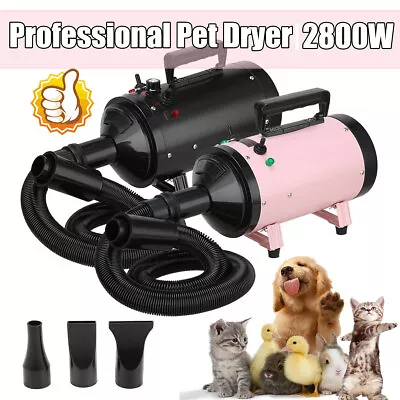 £54.31 • Buy 2800W Dog Hair Dryer Pet Grooming Blaster Blower Dryer 3 Nozzles Blaster Heater