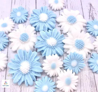 Edible Baby Blue Daisies Flowers Fondant Cupcake Toppers Large Small & Mixed • £6.95