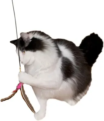 Gocat Da Bird Rod And Feather Cat Toy Handmade In The USA (1 Bird) • $31.29