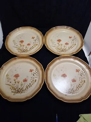 Mikasa Whole Wheat Jardiniere Dinner Plate Set Of 4 • $20