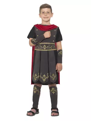 Roman Soldier Gladiator Warrior Costume Myths And Legends Fancy Dress Medieval • $49.95