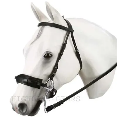 Horse Equestrian Black Genuine Leather HB575 Hackamore Bridle & Reins Set • $127