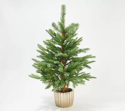 Martha Stewart 36  Downswept Green Potted Tree In Clear • $99.94