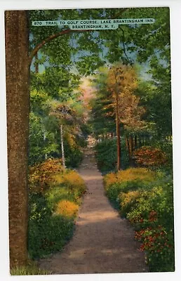 Vintage Postcard Adirondacks Trail To Golf Course Lake Brantingham NY Linen • $5.62