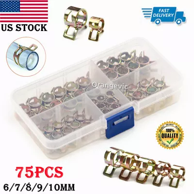 US Hose Clamps Assortment Kit Steel Spring Clips Water Fuel Tube Air Pipe 75PCS • $9.62