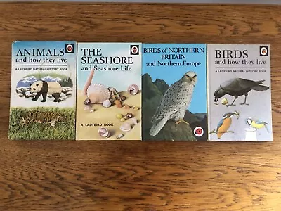 Vintage Ladybird Book Bundle Series 536 & 651: Birds Animals And Seashore • £8