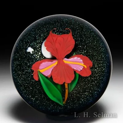 Mayauel Ward 2021  Flora Luna  Glass Paperweight • $212.80