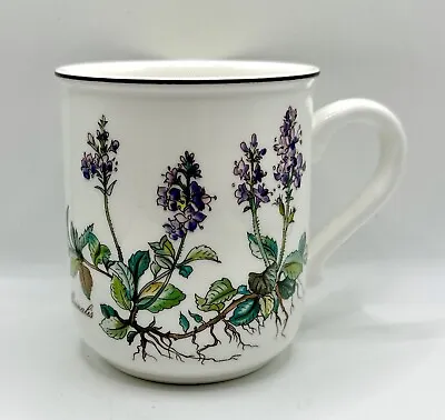 EUC Villeroy & Boch Veronica Officinalis Botanica 10 Oz Mug With Handle • $22.99