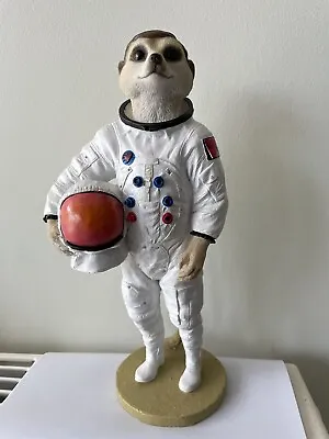 £28 • Buy Magnificent Meerkats Country Artists Neil Spaceman Astronaut