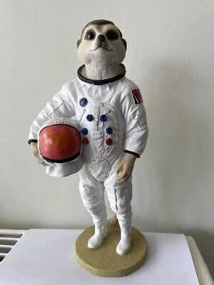£28 • Buy Magnificent Meerkats Country Artists Neil Spaceman Astronaut