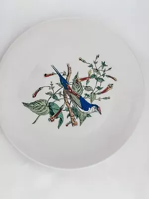 Vtg GDA Limoges France Bird Hand Painted Collectors Plate • £11.58