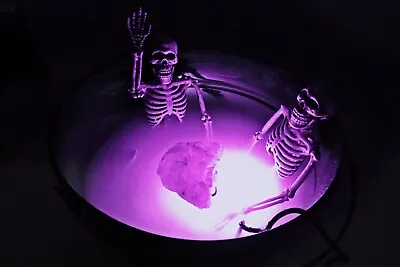 Skeleton Couple Sauna - Witch's Cauldron & Purple Fogger Halloween Decor - 12  D • $64.99