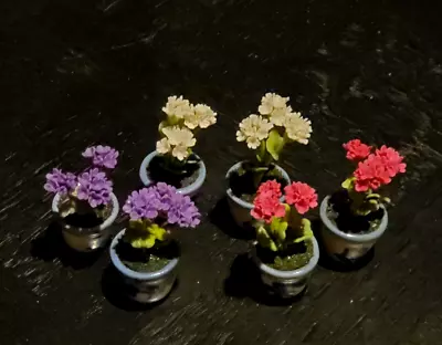 Lot Of 6 Dollhouse Miniature Geranium Flowers In Pots Scale 1/12 • $5.50