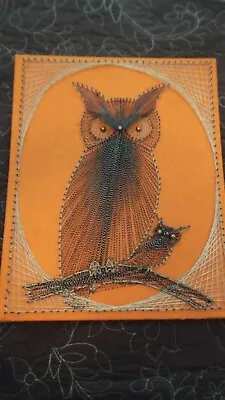 Vintage Retro 1970s Mid Century Owls String Nail Art Wall Decor 20  X 16  • $70