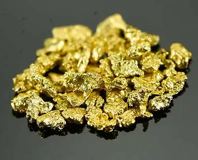 Alaskan Yukon Gold Rush Nuggets 14 Mesh 1 Gram Of Fines • $86.23