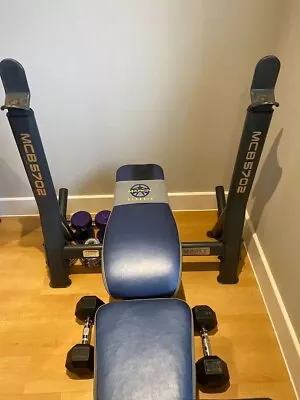 Olympic Bench With Detachable Preacher Curl • £100