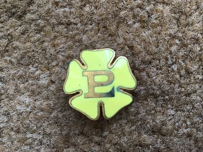 £2.50 • Buy Vintage Primrose League Enamel Buttonhole Badge Conservative Tory Party Politics