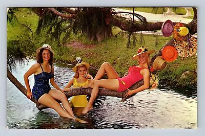 Weeki Wachee FL-Florida Weeki Wachee Mermaids Antique Vintage Postcard • $7.99