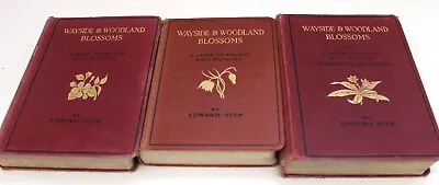 £10.50 • Buy Wayside & Woodland Blossoms Series 1-3 VINTAGE HB Illustrated Warne 1930's - L28