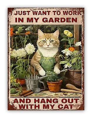 Funny Cat Aluminium Metal Sign Pet Kitchen Garden • £4.99